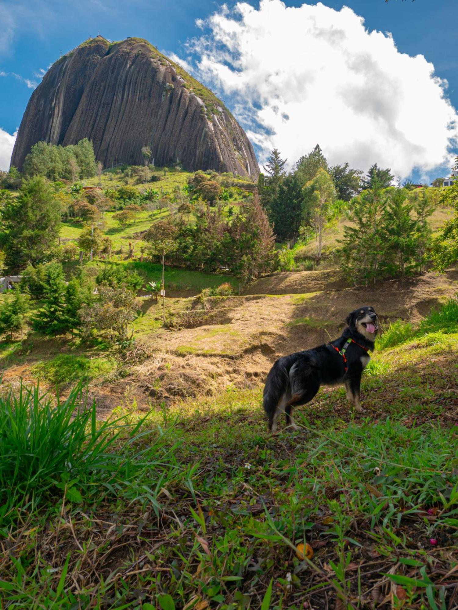 Descanso Bajo La Piedra Del Penol Guatapé 외부 사진